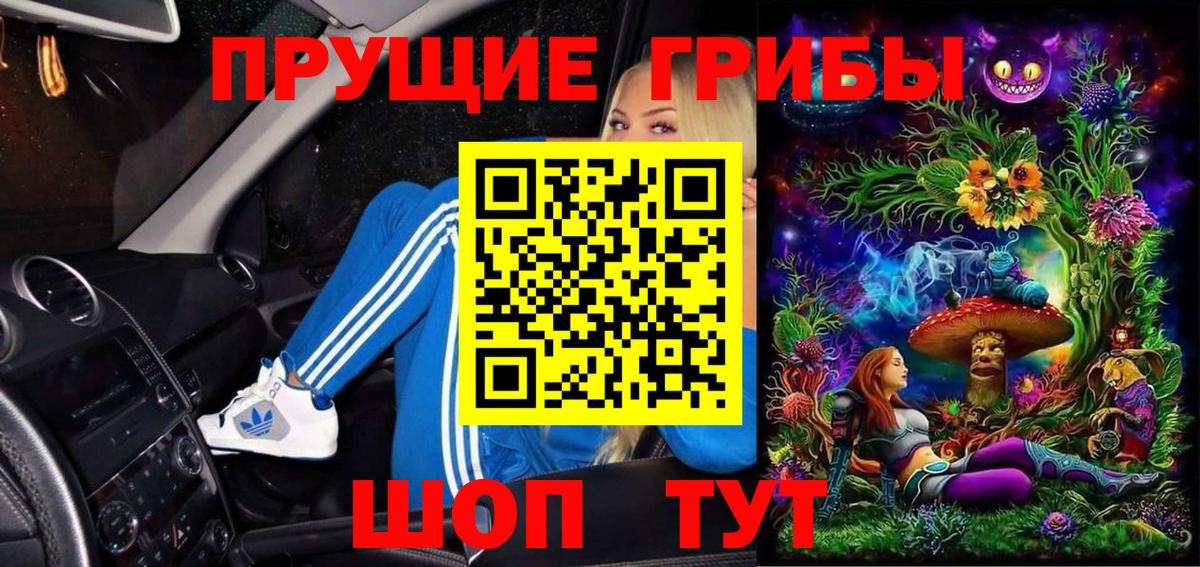 купить  сайты  Галлюциногенные грибы GOLDEN TEACHER  Вход с VPN  Благовещенск 